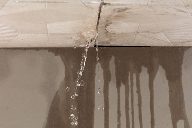 Professional Structural Drying technician working in Odessa, TX